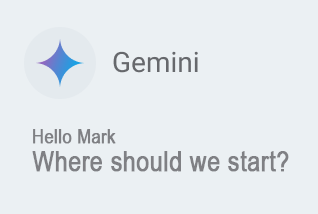 Gemini start chat
