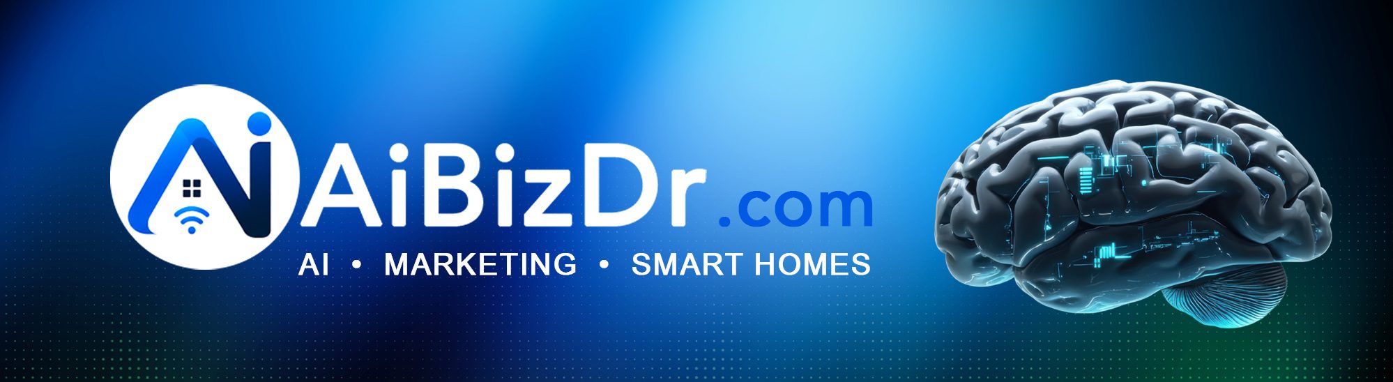 AiBizDr.com
